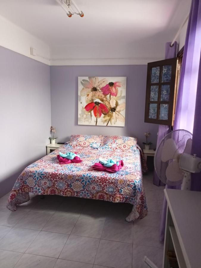Apartamentos Playa Honda Mácher Eksteriør billede
